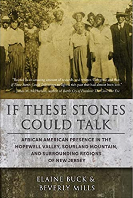 Image of book titled If These Stone Could Talk