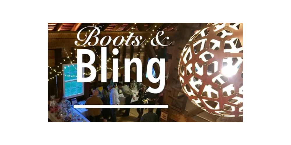 Image for Boots and Bling Fundraiser
